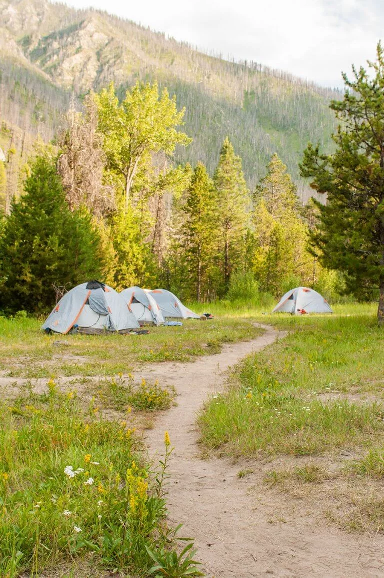 camp meadow