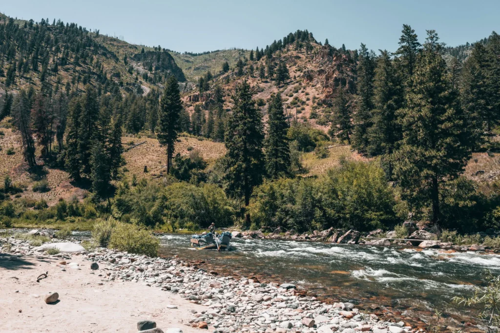 An oar raft on the Middle Fork Salmon River beside a gravel beach and forested canyon