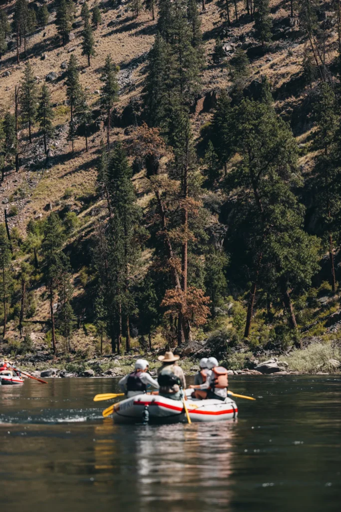 Rafts floating through a forested canyon on the Middle Fork of the Salmon River